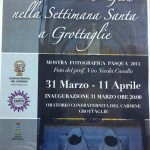 Mostra foto Cavallo 0